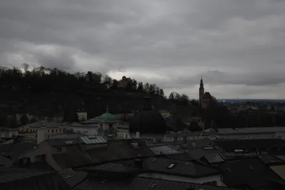 DSC_7008 (Large).JPG